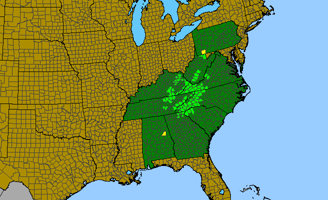 The range of Clethra acuminata